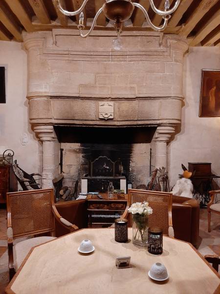 In a castle the EQUATAIR provides great heat in a large living room.