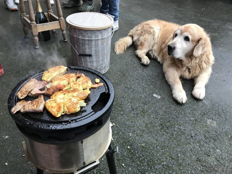 QAÏTO Camping: tasty barbecues under high protection!