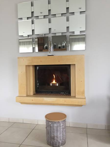 Buy a pellet basket for fireplace in Dublin
